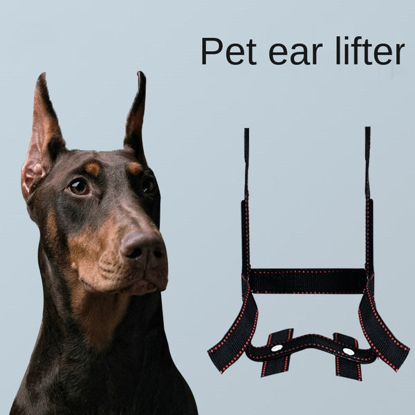 HKM-3024701 Dog Ear Stand - Nylon Ear Correction Artifact for Enhanced Ear Positioning, Available in Multiple Sizes