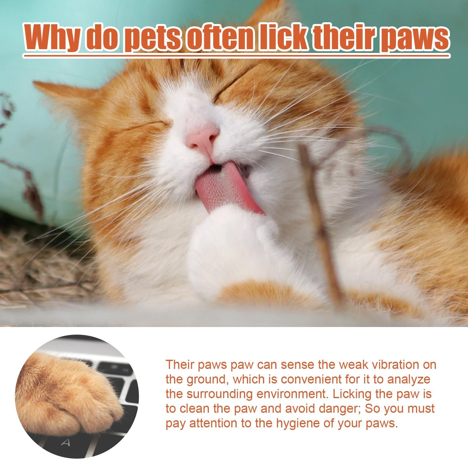 HKM-3027261 Pet Paw Care Cream, 30ml Claw Protection for Cats and Dogs