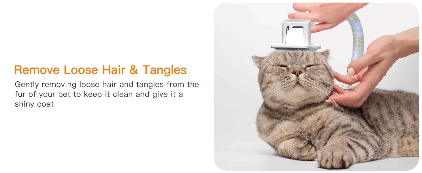 HKM-302867 Eco-Friendly Dual Motor Pet Grooming Set with Suction Control for Cats and Dogs