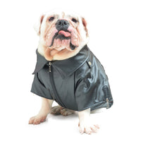 HKM-3030845 Cool PU Leather Dog Jacket for Autumn and Winter with Eagle Embroidery in Various Sizes and Colors
