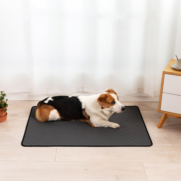 HKM-3033021 Water-Resistant Pet Changing Pad with Absorbent Layers and Non-Slip Backing