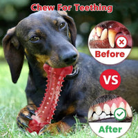 HKM-3034429 Durable Natural Rubber Chew Toy for Aggressive Dogs - Ideal for Heavy Chewing