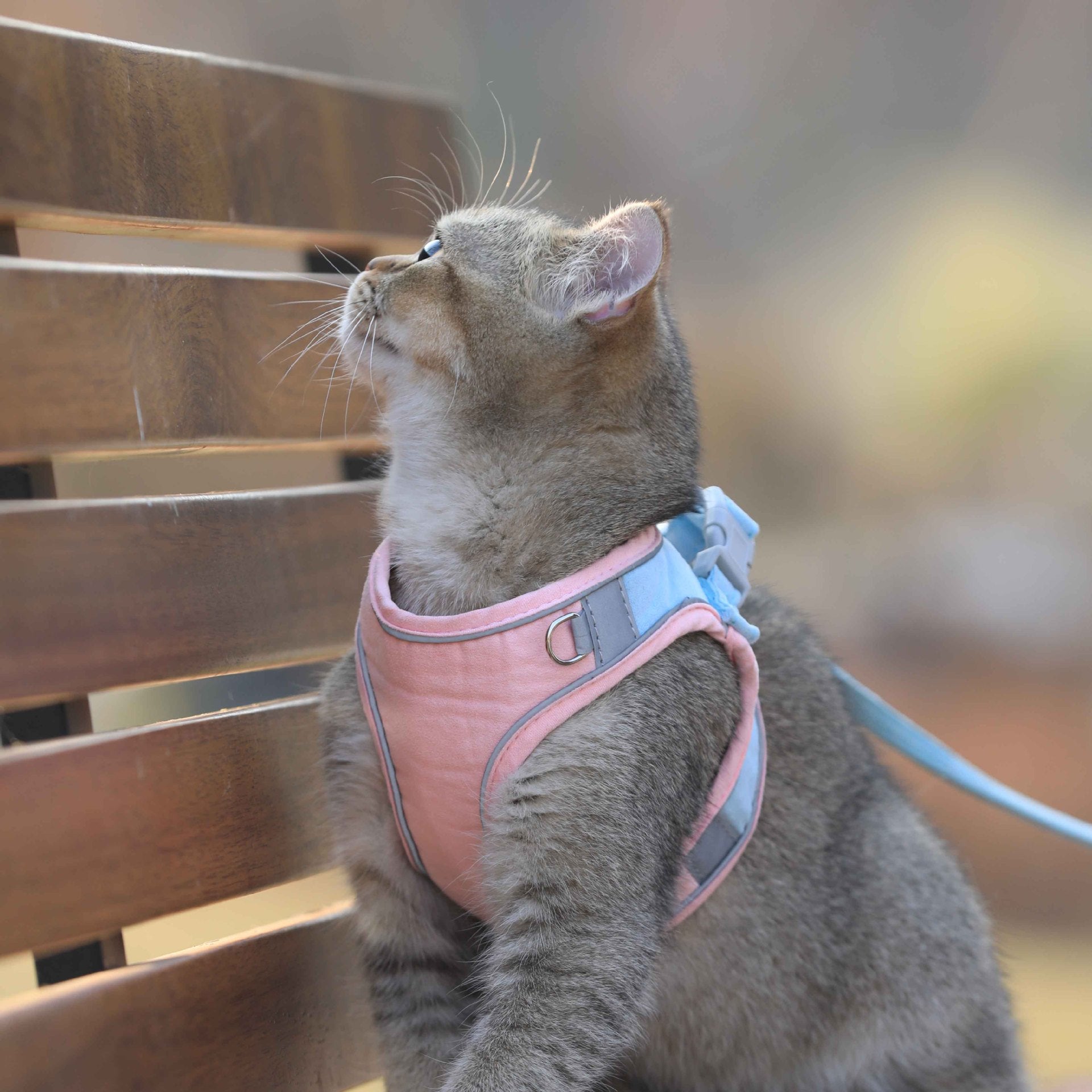 HKM-3036221 Stylish Cat Vest Harness with Walking Rope - Suede Fabric, Adjustable Fit, Safe and Comfortable