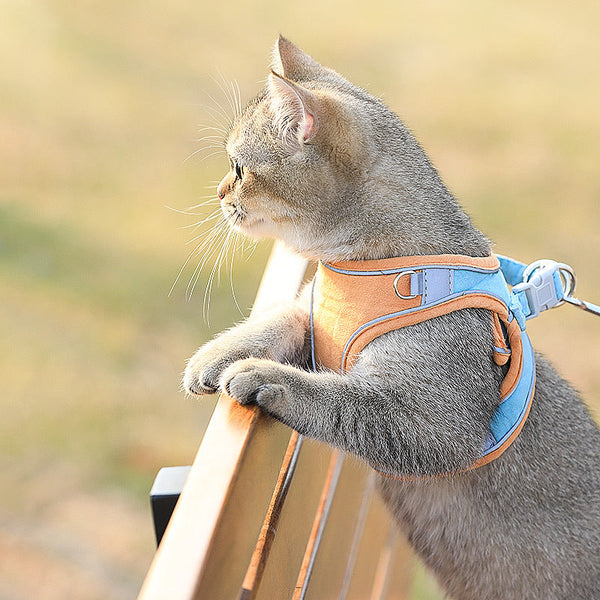 HKM-3036221 Stylish Cat Vest Harness with Walking Rope - Suede Fabric, Adjustable Fit, Safe and Comfortable