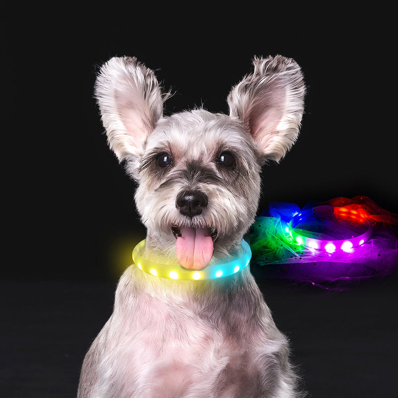 HKM-3038909 USB Rechargeable Anti-Lost Silicone Light-Up Dog Collar - Adjustable Size for Comfort