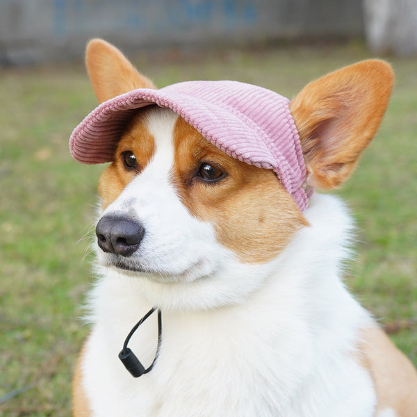 HKM-3039293 Casual Corduroy Hat for Cats and Dogs - Various Colors and Sizes Available