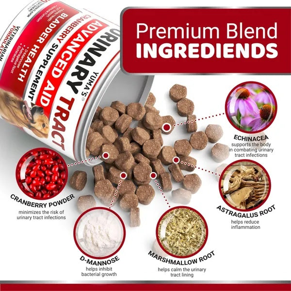 HKM-3042749 Cranberry Chews for Dogs - Natural UTI Support & Bladder Health - 170 Treats