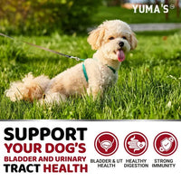 HKM-3042749 Cranberry Chews for Dogs - Natural UTI Support & Bladder Health - 170 Treats