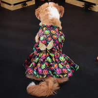HKM-3046845 Pumpkin & Bat Angel Wings Dog Costume for Halloween, Sizes S-XL, Polyester Material