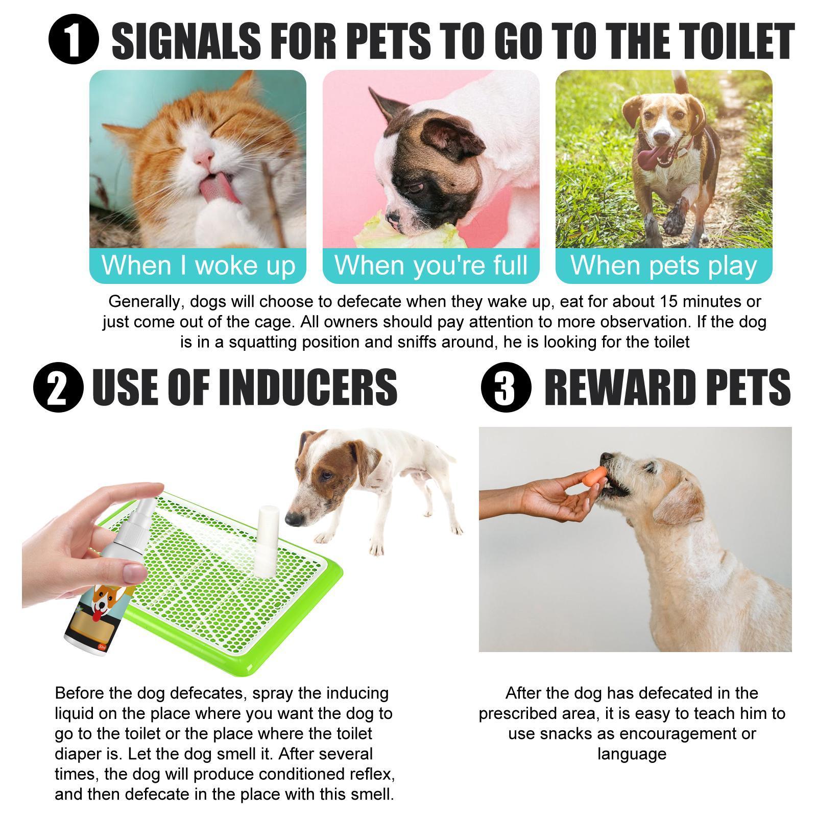 HKM-3048125 Pet Defecation Positioning Spray for Cats and Dogs