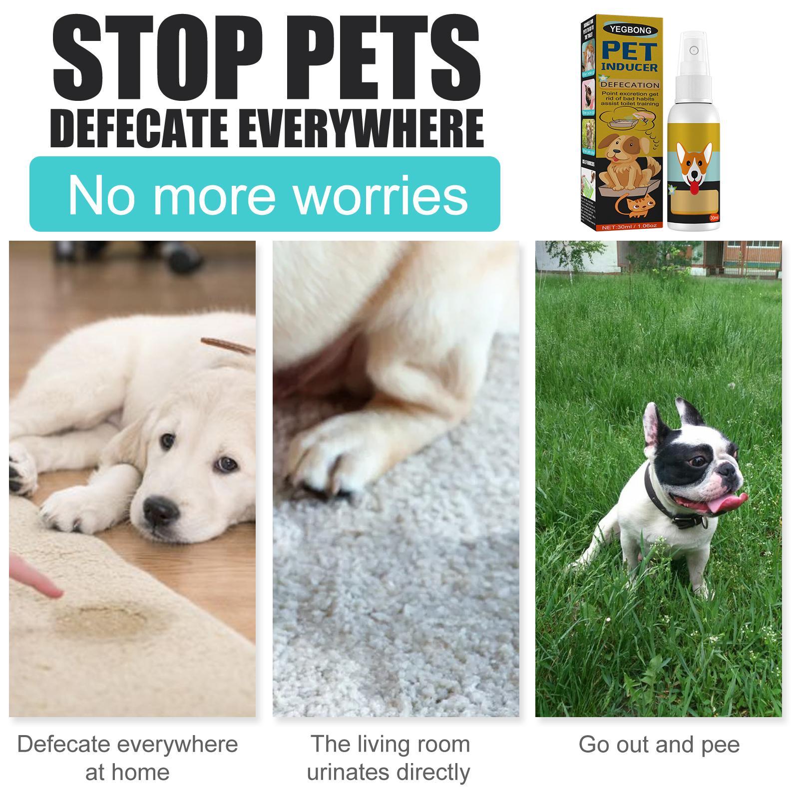 HKM-3048125 Pet Defecation Positioning Spray for Cats and Dogs