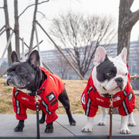 HKM-3050045 Large Dog Raincoat - Waterproof and Windproof, Available in Black and Red, Sizes S-5XL, Made of Durable Polyester