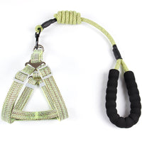 HKM-3051709 Nylon Adjustable Pet Leash with Chrome-Plated Buckle and EVA Foam Handle