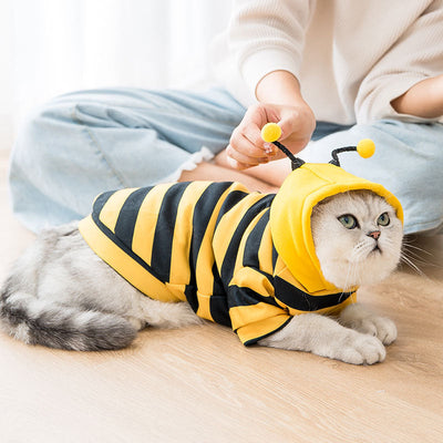 HKM-3053501 Adorable Yellow Milk Silk Sweater for Dogs - Cute Style, Comfortable Fit