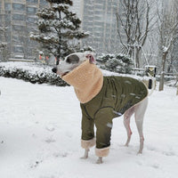HKM-3056573 Super Thick Lamb Fleece Coat for Greyhounds and Whippets - Casual Two-Wear Design