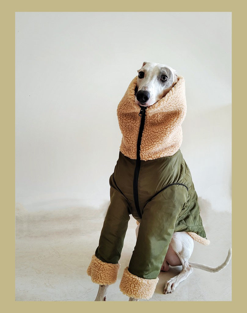 HKM-3056573 Super Thick Lamb Fleece Coat for Greyhounds and Whippets - Casual Two-Wear Design