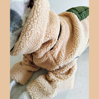 HKM-3056573 Super Thick Lamb Fleece Coat for Greyhounds and Whippets - Casual Two-Wear Design