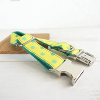 HKM-3057981 Adjustable Dog Collar and Leash Set with Cute Paw Pattern for Small to Large Dogs - Dragon Claw Design