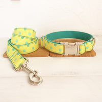 HKM-3057981 Adjustable Dog Collar and Leash Set with Cute Paw Pattern for Small to Large Dogs - Dragon Claw Design