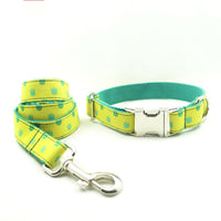 HKM-3057981 Adjustable Dog Collar and Leash Set with Cute Paw Pattern for Small to Large Dogs - Dragon Claw Design