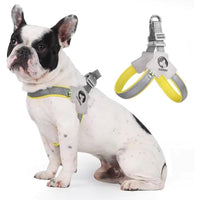 HKM-3065405 Adjustable Pet Harness with Leash Set - Comfortable No-Pull Design for Dogs and Cats, Reflective for Night Safety, Available in Multiple Sizes