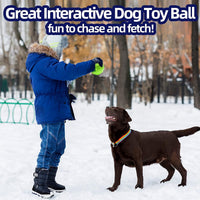 HKM-3067197 Durable Beef Flavor Squeaky Chew Toy for Medium to Large Dogs - Non-Toxic Rubber, Interactive Fetch Ball