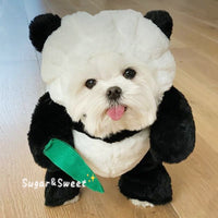 HKM-3068093 Radish Rabbit Costume with Carrot Props for Cats and Dogs