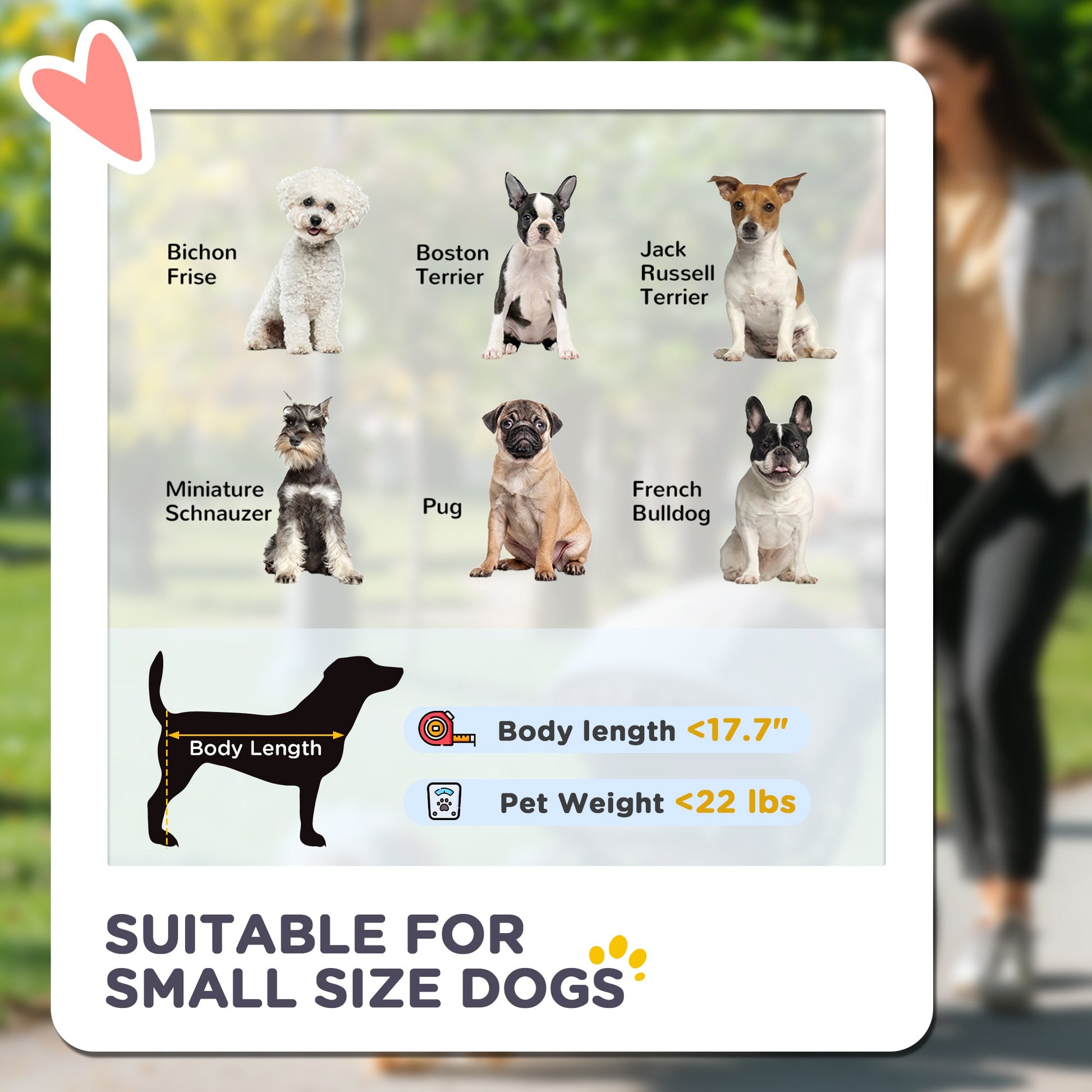 HKM-3068733 Lightweight 3-in-1 Pet Stroller for Small Dogs, Detachable Cabin, Easy-Fold Design, Gray