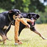 HKM-3070525 Dog Teddy Molar Sound Toy - Bite-Resistant Jacquard Velvet Design for Comfort and Training