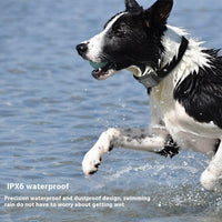 HKM-3071677 Pet GPS Positioning Collar - Accurate Tracking Device with Lithium Battery, 32MB Memory and Compact Design