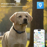 HKM-3071677 Pet GPS Positioning Collar - Accurate Tracking Device with Lithium Battery, 32MB Memory and Compact Design
