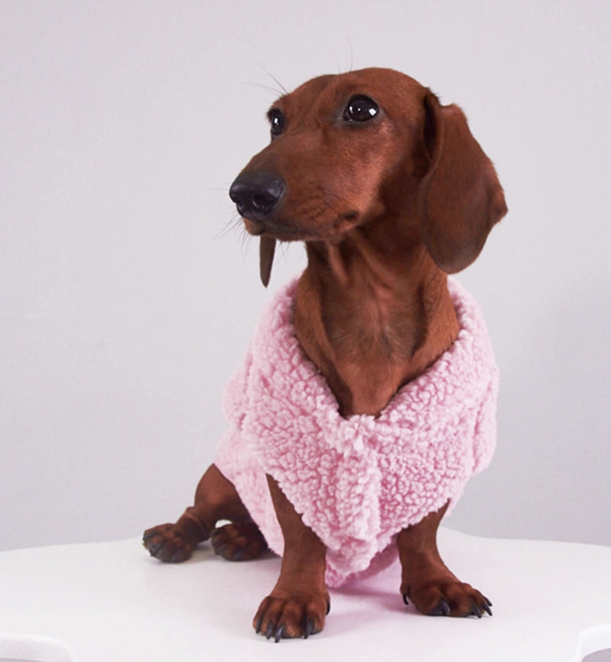 HKM-3074237 Lambswool Vest for Dogs and Cats ¨C Cozy Autumn and Winter Pet Clothing