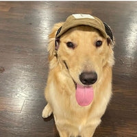 HKM-3074493 Breathable Corduroy Dog Hat with Sunscreen Protection - Brown