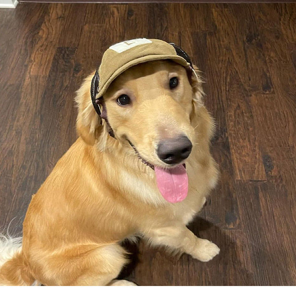 HKM-3074493 Breathable Corduroy Dog Hat with Sunscreen Protection - Brown