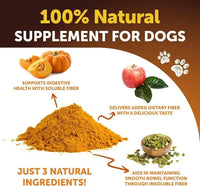 HKM-3075517 Pumpkin Powder for Dogs - Digestive Support Supplement for Healthy Stool and Skin - 16 OZ