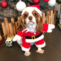 HKM-3077821 Funny Pet Dog Costumes for Horseback Riding, Dinosaur, Pirate, Christmas, and More