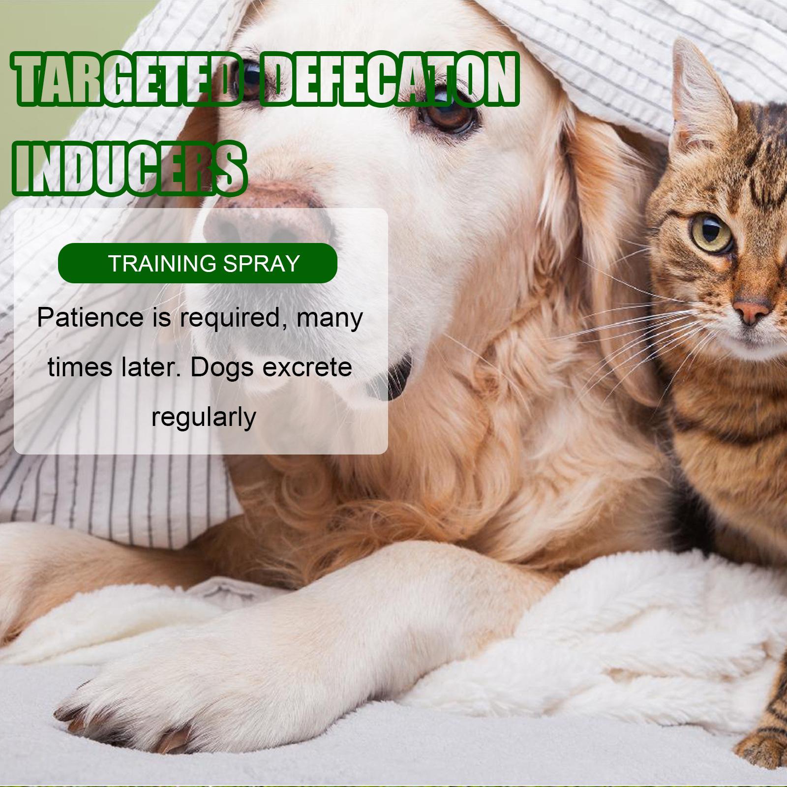 HKM-3080893 Pet Toilet Training Inducer and Urine Locator for Indoor Use