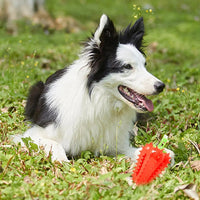 HKM-3083837 Interactive Dog Teething Chili Chewer Toy - Durable Non-Toxic Rubber for All Dog Sizes