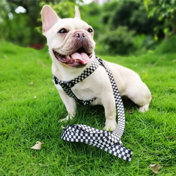 HKM-3090237 Plaid Chest and Back Dog Harness with 150cm Traction Leash