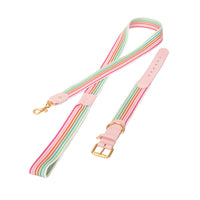 HKM-3090749 Woven Cowhide Dog Collar with Traction Rope for Medium to Large Dogs