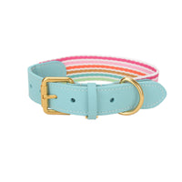 HKM-3090749 Woven Cowhide Dog Collar with Traction Rope for Medium to Large Dogs