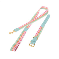 HKM-3090749 Woven Cowhide Dog Collar with Traction Rope for Medium to Large Dogs