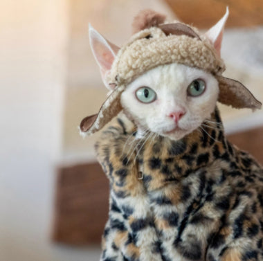 HKM-3091517 Fluffy Leopard Print Cat Coat - Short Plush Fur Clothing for Hairless Cats