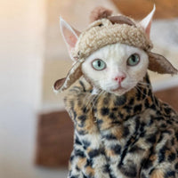 HKM-3091517 Fluffy Leopard Print Cat Coat - Short Plush Fur Clothing for Hairless Cats
