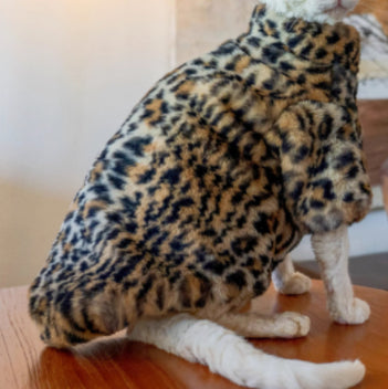 HKM-3091517 Fluffy Leopard Print Cat Coat - Short Plush Fur Clothing for Hairless Cats