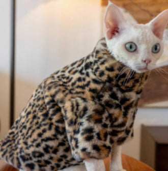HKM-3091517 Fluffy Leopard Print Cat Coat - Short Plush Fur Clothing for Hairless Cats