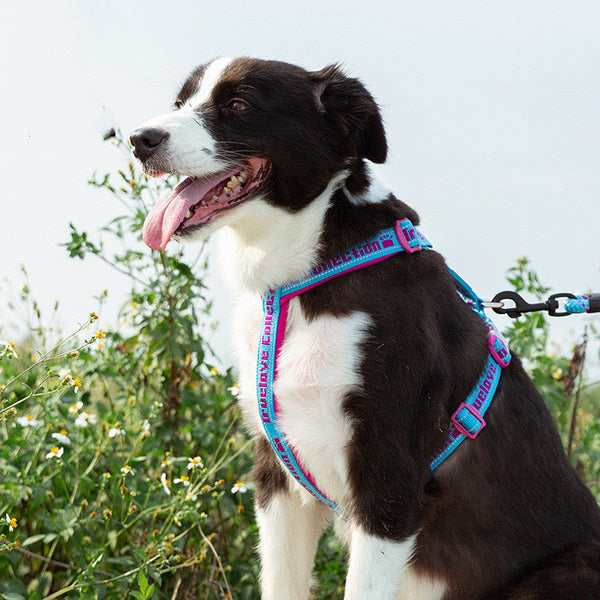 HKM-3095997 Reflective No Pull Dog Harness with Neoprene Padding - Adjustable Military Style Training Vest for Comfort and Safety