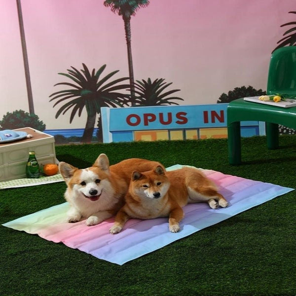 HKM-3098557 Cooling Pet Mat for Dogs - Summer Ice Pad in Various Fun Designs and Sizes