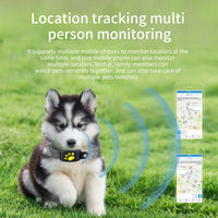 HKM-3099965 Waterproof GPS Pet Locator and Intelligent Tracker with Fence Alarm, Polymer Battery, and Multiple Color Options
