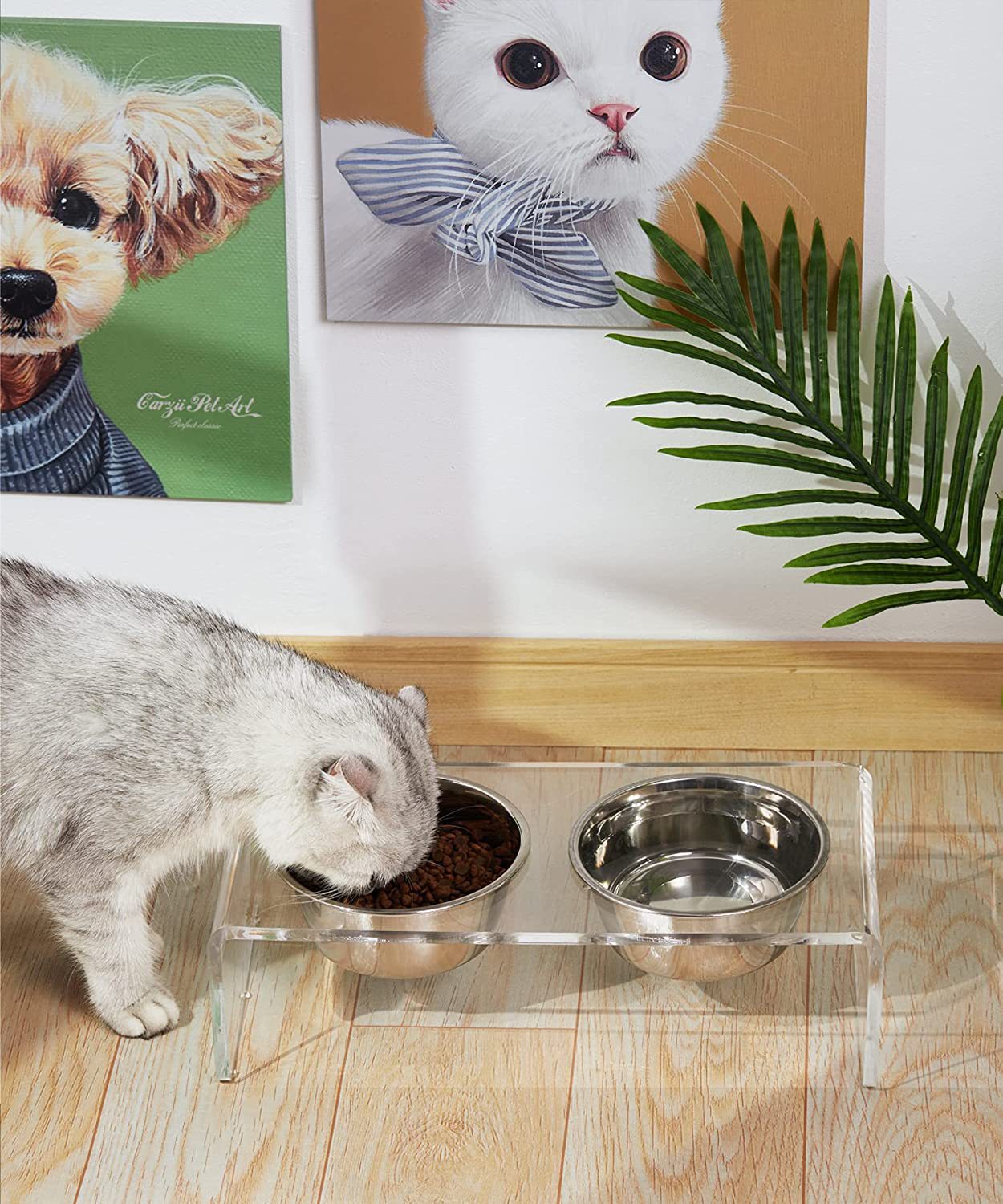 HKM-3100861 Acrylic Pet Feeder for Dogs and Cats - Environmentally Friendly Clear Feeding Rack